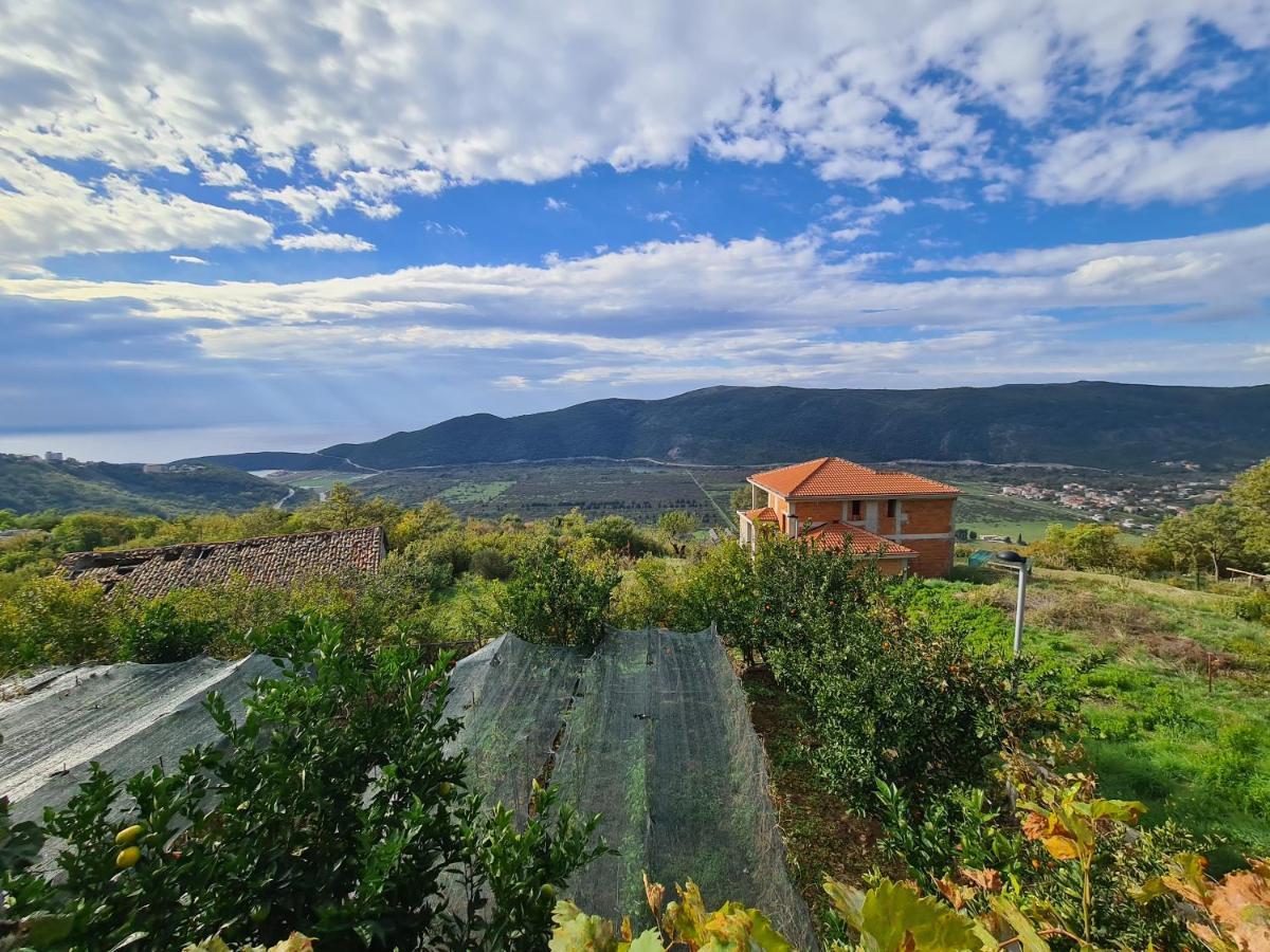 Villa Deloik Ante'S Hill House Budva Exterior photo